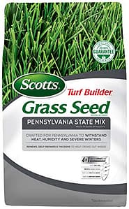 The Complete Guide to Winter Grass Seed: What Type is Best for Your Yard?