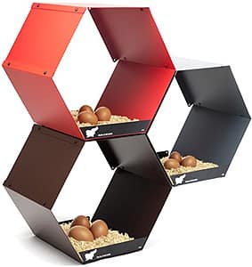 Egg-cellent Choices: Explore the Best Chicken Nesting Boxes