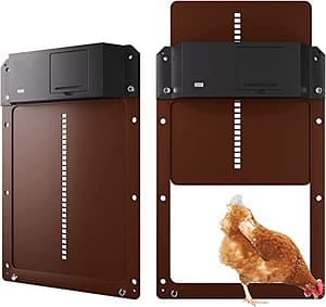 Top 5 Chicken Coops for Happy Hens - A Comprehensive Review