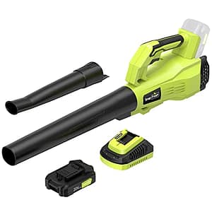 KIMO Cordless Leaf Blower Review: The Best Way to Blow Away Leaves