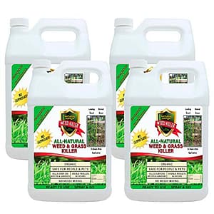 The Best Organic Weed Killer to Keep Your Yard Looking Great