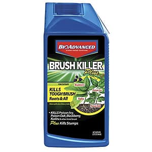 11 Best Weed Killers for Bermuda Grass: How to Get Rid of Weeds Safely