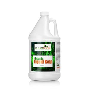 Unlock the Secret to a Lusher Lawn With the Best Liquid Fertilizer
