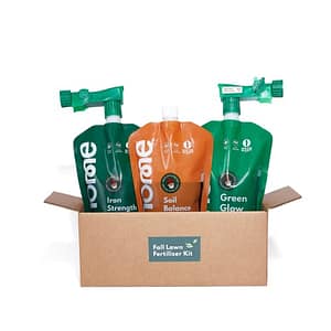 The Insider's Guide to Winter Fertilizing: Tips & Tricks