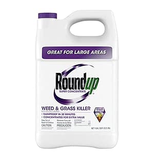 The Only Guide You Need to Choose the Right Pre-Emergent for Bermuda Turf