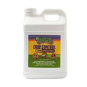 Keep Your Roses Pest-Free With These Top Insecticides