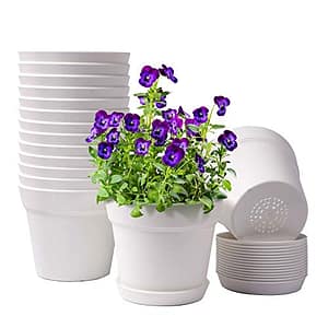 Get Ready for Spring: Our Top Picks for the Best Bulb Planters