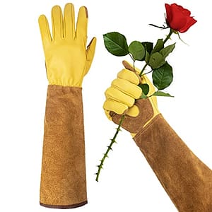 A Comprehensive Guide to the Best Gardening Gloves UK
