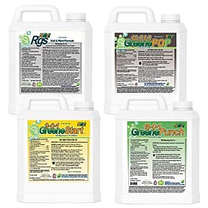 The Ultimate Guide to Choose the Best Starter Fertilizer for Overseeding
