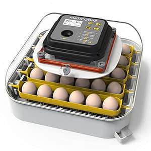 Top 5 Best Egg Incubators for Hatching Success - 2023 Guide