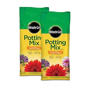 Potting Soil vs Garden Soil: Choosing the Right Mix for Your Plants