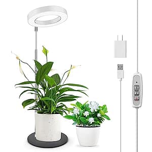 Shining a Light on Seedlings: The Best Indoor Grow Lights Reviewed
